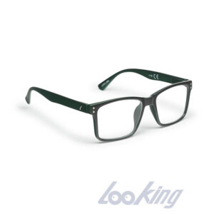 GAFA LORING HENRY +3.50 DIOPTRIAS