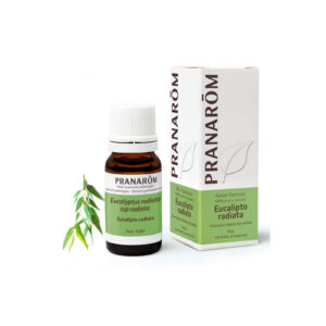 ACEITE ESENCIAL EUCALIPTO RADIATA  1 ENVASE 10 ML